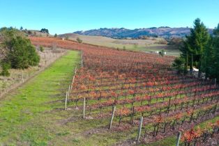 Residential Acreage,  Sonoma Mountain road, Santa Rosa, CA 95404 - 14