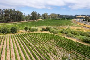 Agriculture,  Stanly lane, Napa, CA 94559 - 3