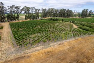 Agriculture,  Stanly lane, Napa, CA 94559 - 8