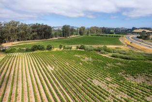 Agriculture,  Stanly lane, Napa, CA 94559 - 7