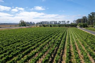 Agriculture, 1100 Stanly lane, Napa, CA 94559 - 7