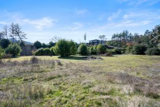 Residential Lot,  Michele way, Santa Rosa, CA 95404 - 16