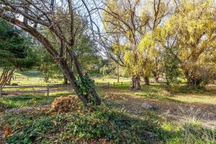 Single Family Residence,  Terrace way, Santa Rosa, CA 95404 - 43