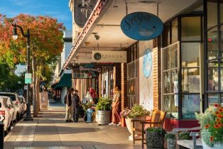 Single Family Residence,  5th street, Petaluma, CA 94952 - 35