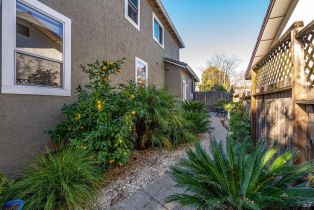 Single Family Residence,  Fano lane, Sonoma, CA 95476 - 31