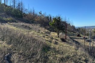 Residential Acreage,  Wildwood Mountain road, Santa Rosa, CA 95409 - 11