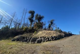 Residential Acreage,  Wildwood Mountain road, Santa Rosa, CA 95409 - 23