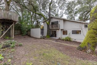 Single Family Residence,  Jewel avenue, Sebastopol, CA 95472 - 20