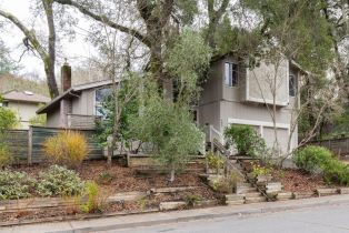 Single Family Residence,  Jewel avenue, Sebastopol, CA 95472 - 2