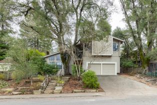 Single Family Residence,  Jewel avenue, Sebastopol, CA 95472 - 24