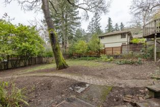 Single Family Residence,  Jewel avenue, Sebastopol, CA 95472 - 17