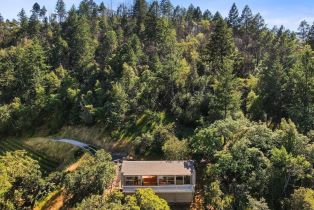 Single Family Residence,  Wall road, Napa, CA 94558 - 49