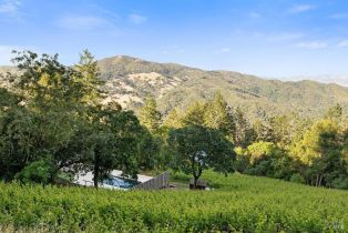 Single Family Residence,  Wall road, Napa, CA 94558 - 78