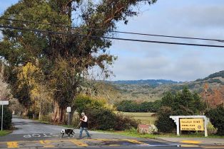 Residential Lot,  Hayes street, Sonoma, CA 95476 - 5