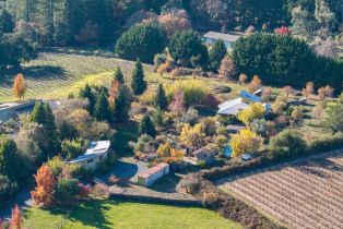 Single Family Residence,  Morelli lane, Sebastopol, CA 95472 - 59