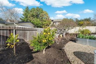 Single Family Residence,  Minahen street, Napa, CA 94559 - 49