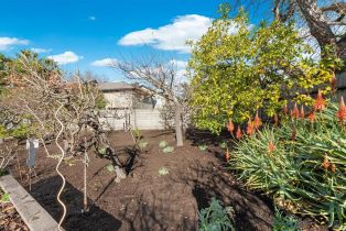 Single Family Residence,  Minahen street, Napa, CA 94559 - 56