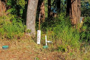 Single Family Residence,  Green Valley road, Russian River, CA 95436 - 57