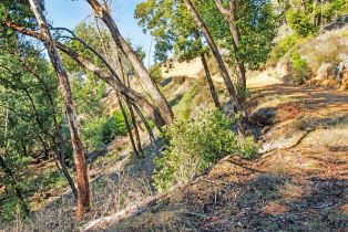 Single Family Residence,  Green Valley road, Russian River, CA 95436 - 61