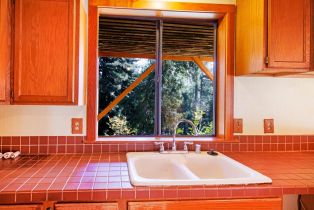 Single Family Residence,  Green Valley road, Russian River, CA 95436 - 41