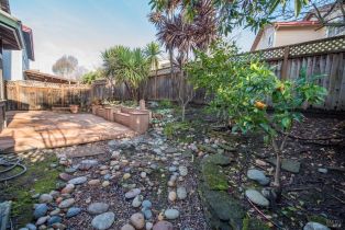 Single Family Residence,  Tulare street, Petaluma, CA 94954 - 48