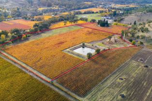 Agriculture,  Silverado trail, Calistoga, CA 94515 - 7