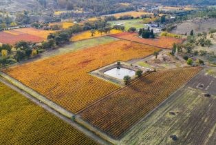 Agriculture,  Silverado trail, Calistoga, CA 94515 - 6