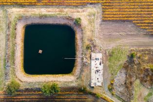 Agriculture,  Silverado trail, Calistoga, CA 94515 - 5