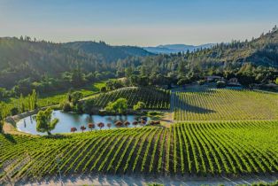 Single Family Residence,  Franz Valley road, Calistoga, CA 94515 - 92