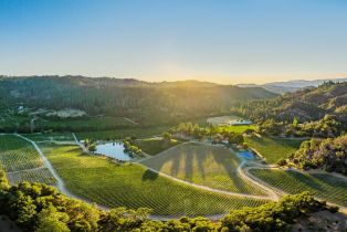 Single Family Residence,  Franz Valley road, Calistoga, CA 94515 - 98