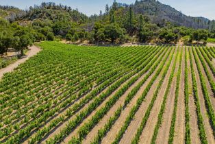 Single Family Residence,  Franz Valley road, Calistoga, CA 94515 - 76