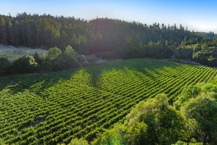 Single Family Residence,  Franz Valley road, Calistoga, CA 94515 - 91