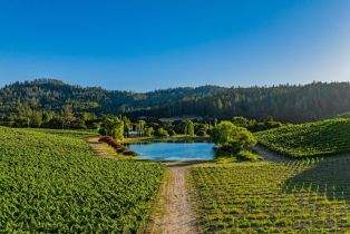 Single Family Residence,  Franz Valley road, Calistoga, CA 94515 - 90