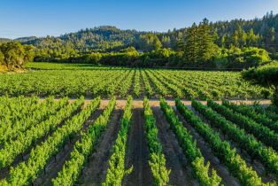 Single Family Residence,  Franz Valley road, Calistoga, CA 94515 - 82