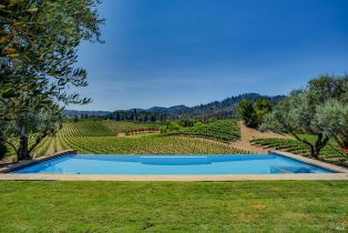 Single Family Residence,  Franz Valley road, Calistoga, CA 94515 - 38