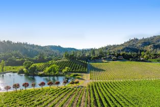 Single Family Residence,  Franz Valley road, Calistoga, CA 94515 - 72