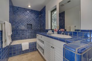 Single Family Residence,  Franz Valley road, Calistoga, CA 94515 - 52