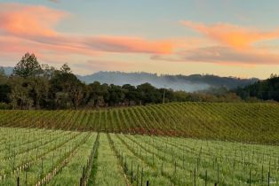 Single Family Residence,  Franz Valley road, Calistoga, CA 94515 - 93