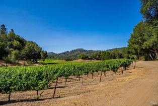 Single Family Residence,  Franz Valley road, Calistoga, CA 94515 - 77