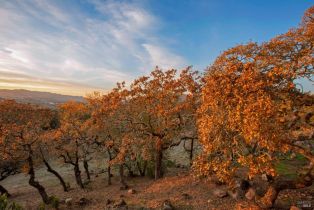 Single Family Residence, Matanzas Creek lane, Santa Rosa, CA 95404 - 23