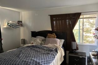 Residential Income, Washington street, Calistoga, CA 94515 - 14