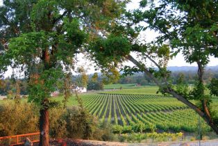 Single Family Residence, Estee avenue, Napa, CA 94558 - 27