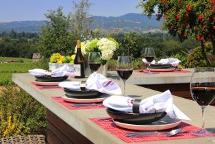 Single Family Residence, Estee avenue, Napa, CA 94558 - 39