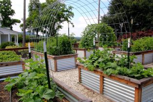 Single Family Residence, Estee avenue, Napa, CA 94558 - 42