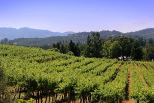 Single Family Residence, Estee avenue, Napa, CA 94558 - 47