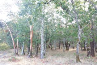Residential Acreage, Foothill boulevard, Calistoga, CA 94515 - 6