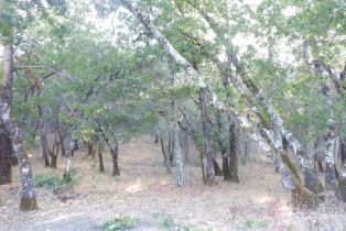 Residential Acreage, Foothill boulevard, Calistoga, CA 94515 - 5