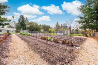 Single Family Residence, Olive Hill lane, Napa, CA 94558 - 62