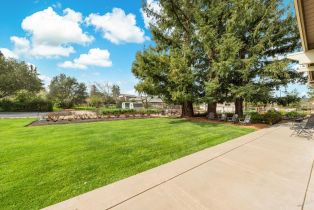 Single Family Residence, Olive Hill lane, Napa, CA 94558 - 79