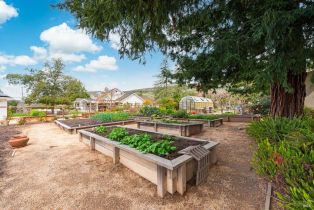 Single Family Residence, Olive Hill lane, Napa, CA 94558 - 66